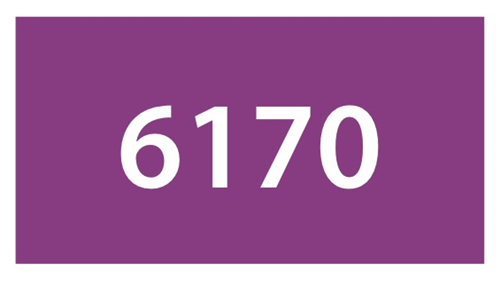 6170 - Violetto chiaro - DB Twin Marker