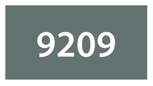 9209 - Grigio verde 9 - DB Twin Marker